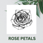 Rose Petals